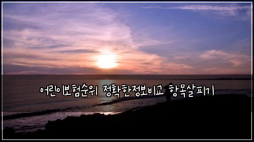 ์ด๋ฆฐ์ด๋ณดํ์์ ์ ํํ์ ๋ณด๋น๊ต ํญ๋ชฉ์ดํผ๊ธฐ
