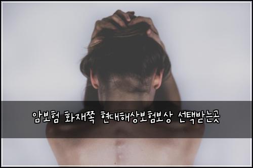 ์๋ณดํ ํ์ฌ์ชฝ ํ๋ํด์๋ณดํ๋ณด์ ์ ํ๋ฐ๋๊ณณ