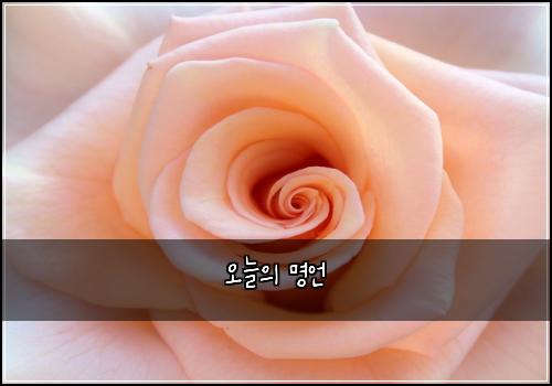 오늘의 명언