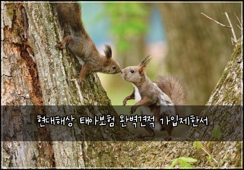 현대해상 태아보험 완벽견적  가입제한서
