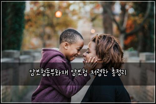 암보험동부화재 암보험 저렴한 총정리