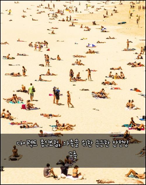 다이렉트 종신보험, 가족을 위한 든든한 안전망 구축