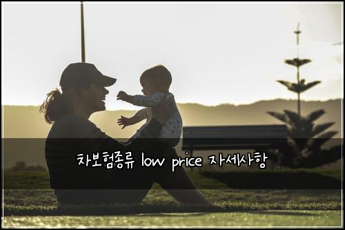 ์ฐจ๋ณดํ์ข
๋ฅ low price ์์ธ์ฌํญ