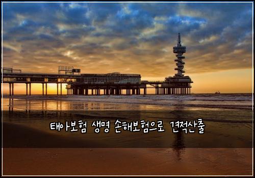 태아보험 생명 손해보험으로 견적산출