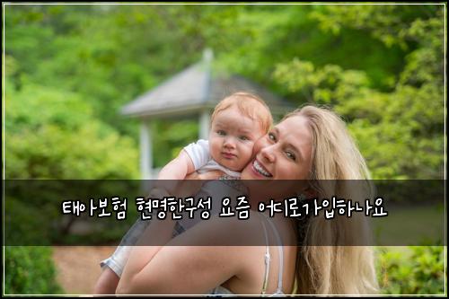 태아보험 현명한구성  요즘 어디로가입하나요