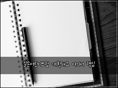 ์ค์์ด๋ฆฐ์ด๋ณดํ ๊ณํํด์ ์ฌ๊ธฐ์ ํต์ฌ