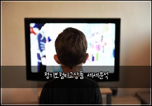 정기보험비교상품 세세분석