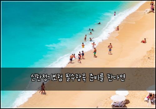 신한정기보험 필수항목  준비를 한다면