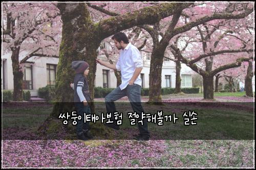 쌍둥이태아보험 절약해볼까  실손