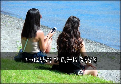자차보험금액 인기많은이유 주목할점