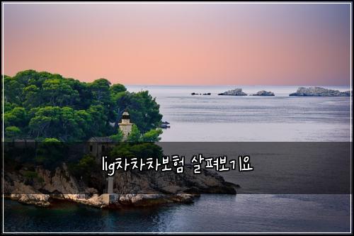 lig차차차보ν μ΄ν΄λ³΄κΈ°μ