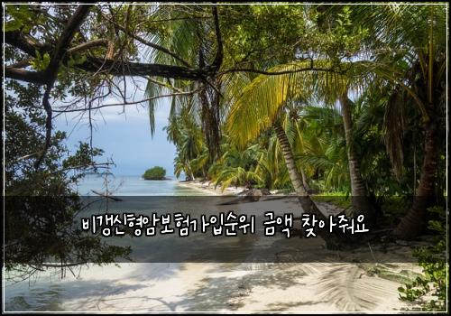 비갱신형암보험가입순위 금액 찾아줘요