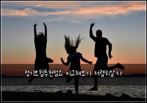 정기보험추천점요 비교해보기 저렴히알자