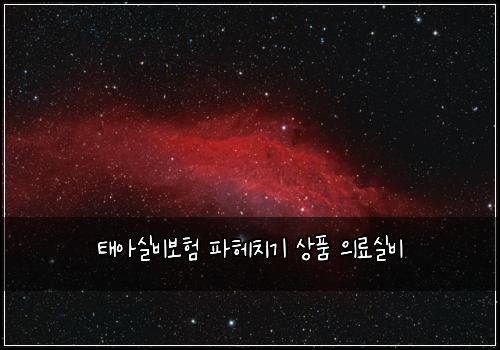 태아실비보험 파헤치기  상품 의료실비