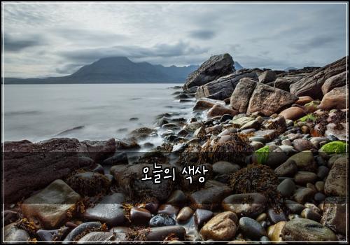 오늘의 색상
