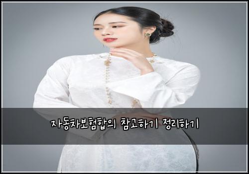 자동차보험합의 참고하기 정리하기