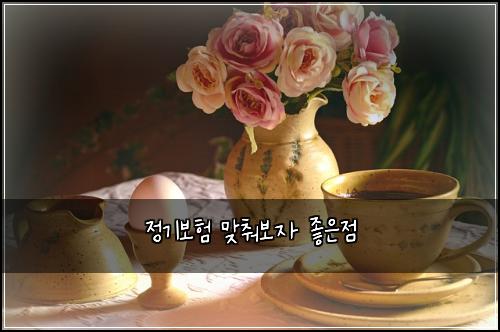 ์ ๊ธฐ๋ณดํ ๋ง์ถฐ๋ณด์ ์ข์์ 