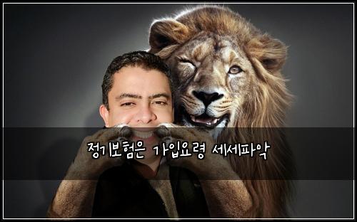 정기보험은 가입요령 세세파악