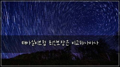 태아실비보험 최신보장은  비교하나마나
