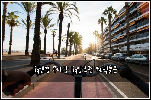 lig생명 무배당 lig암보험 혜택들은 