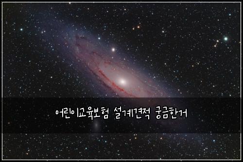 어린이교육보험 설계견적  궁금한거