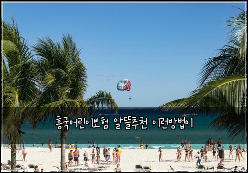 흥국어린이보험 알뜰추천  이런방법이