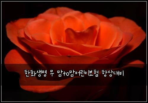 한화생명 무 맘to맘어린이보험 항상대비 