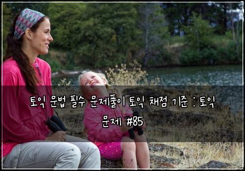 토익 문법 필수 문제풀이 토익 채점 기준 : 토익 문제 #85