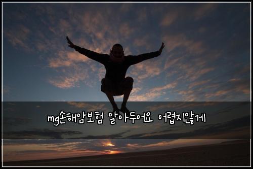 mg손해암보험 알아두어요  어렵지않게