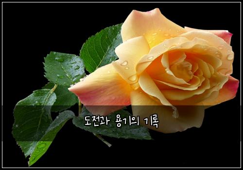도전과 용기의 기록