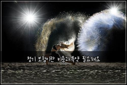 정기 보험이란 비용과특약 필요해요