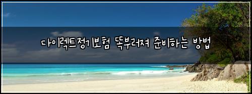 다이렉트정기보험 똑부러져  준비하는 방법
