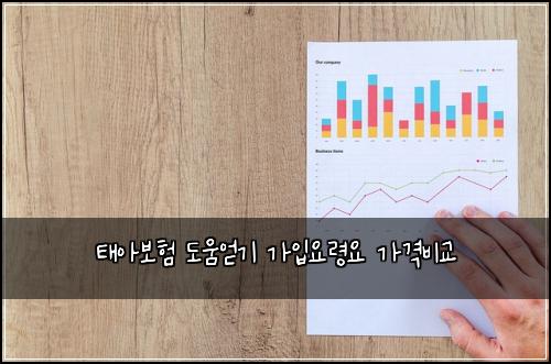 태아보험 도움얻기  가입요령요 가격비교
