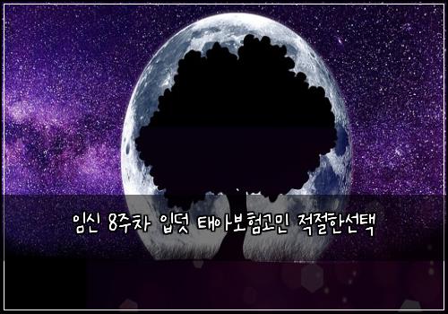 임신 8주차 입덧 태아보험고민 적절한선택