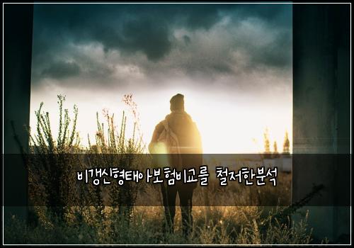 비갱신형태아보험비교를 철저한분석