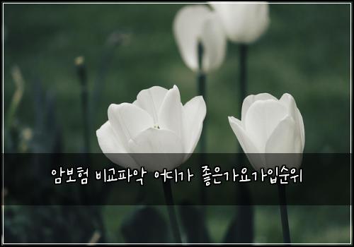 암보험 비교파악  어디가 좋은가요가입순위