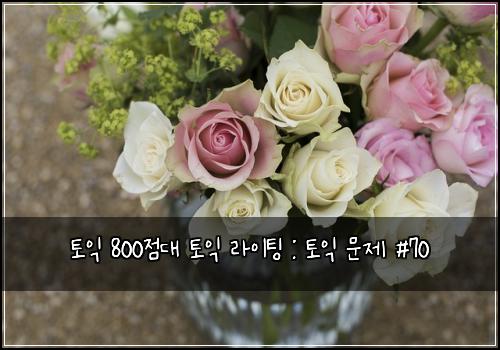 토익 800점대 토익 라이팅 : 토익 문제 #70