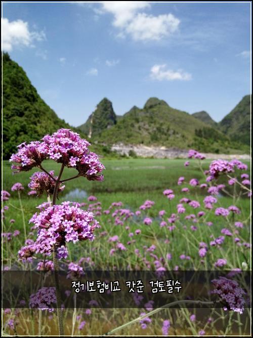 정기보험비교 캇준 검토필수