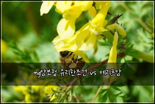 mg암보험 유리한조건  vs 메리츠암