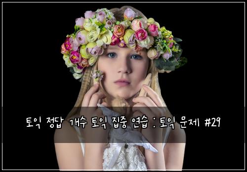 토익 정답 개수 토익 집중 연습 : 토익 문제 #29
