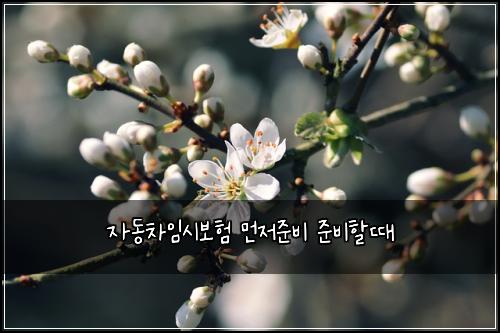 ์๋์ฐจ์์๋ณดํ ๋จผ์ ์ค๋น ์ค๋นํ ๋