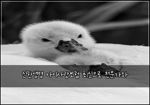 신한생명 아이사랑보험 최신으로  전문가와