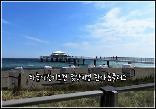 하늘애정기보험 절약비법  한아름플러스