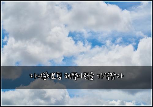 자녀실비보험 혜택마련을  가격잡자