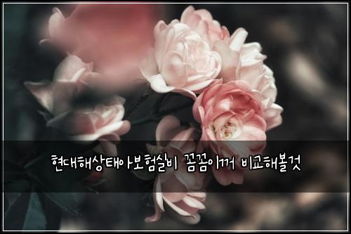 현대해상태아보험실비 꼼꼼이꺼 비교해볼것
