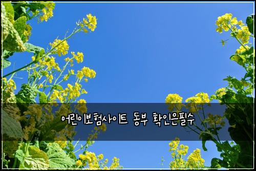 ์ด๋ฆฐ์ด๋ณดํ์ฌ์ดํธ ๋๋ถ ํ์ธ์ํ์