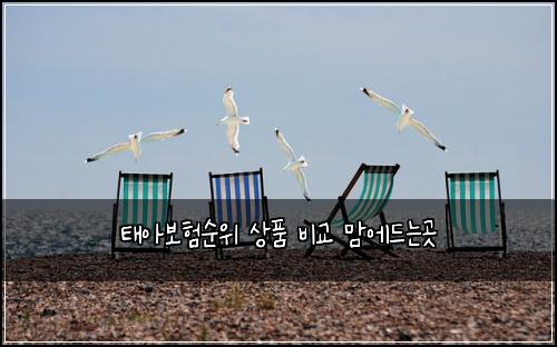 태아보험순위 상품 비교 맘에드는곳