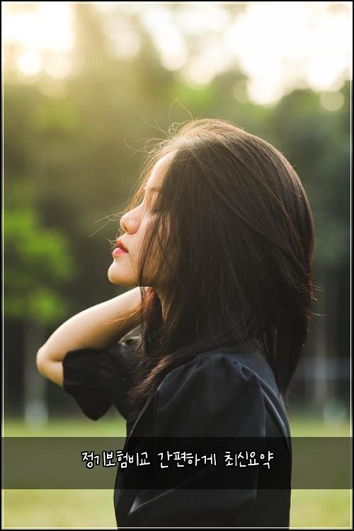정기보험비교 간편하게 최신요약