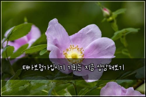 ํ์๋ณดํ๊ฐ์
์๊ธฐ ๊ธฐํ๋ ์ง๊ธ ์๋ดํด๋ณด๊ธฐ