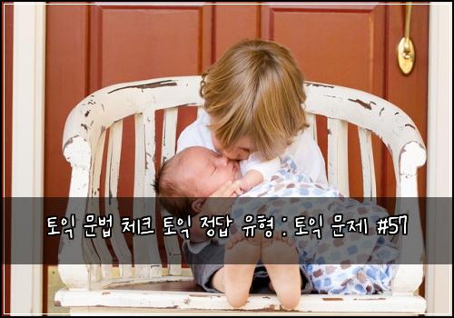 토익 문법 체크 토익 정답 유형 : 토익 문제 #57